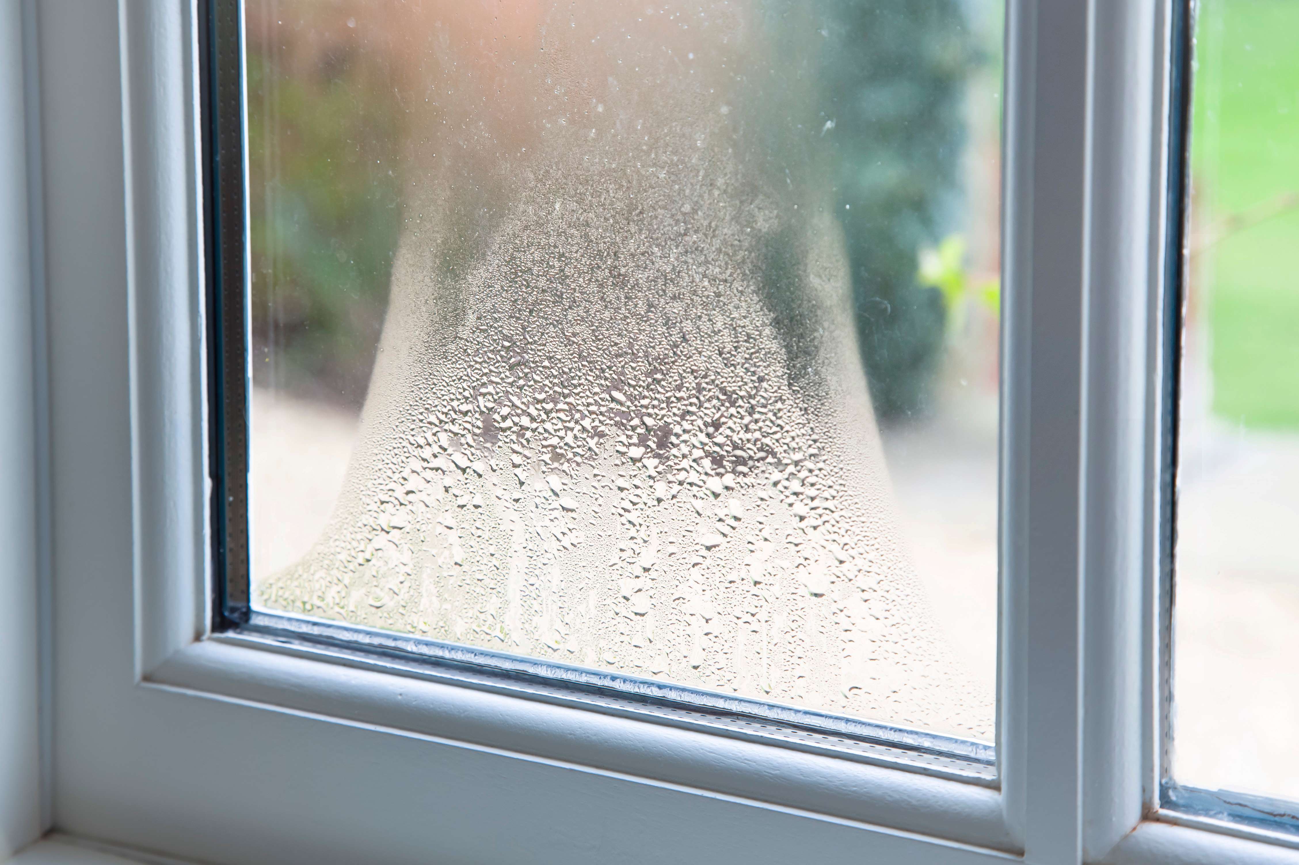 Condensation on a window