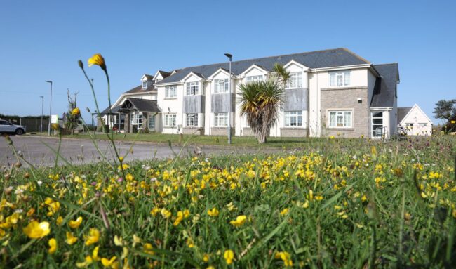 Low angle view of a large residential building behind a field of yellow wildflowers.