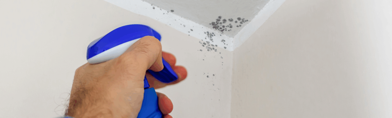 mould in a corner of a room with someone spraying it