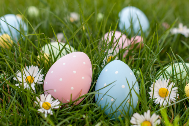 Eggs painted in pastel colours laying in a random order amongst the grass and daisies.